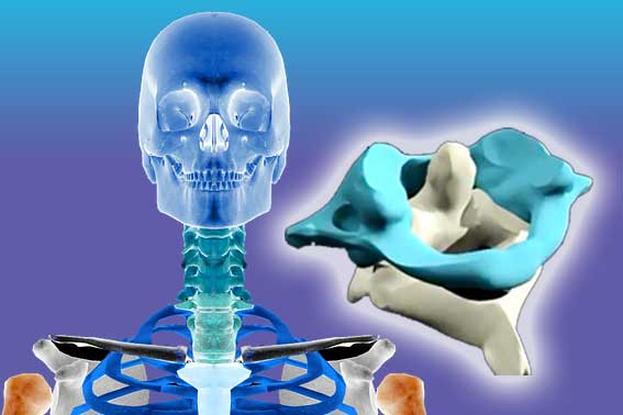 Digging Deeper - Exploring the AtlasPROfilax® method