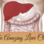 The-Amazing-Liver-Cleanse-front
