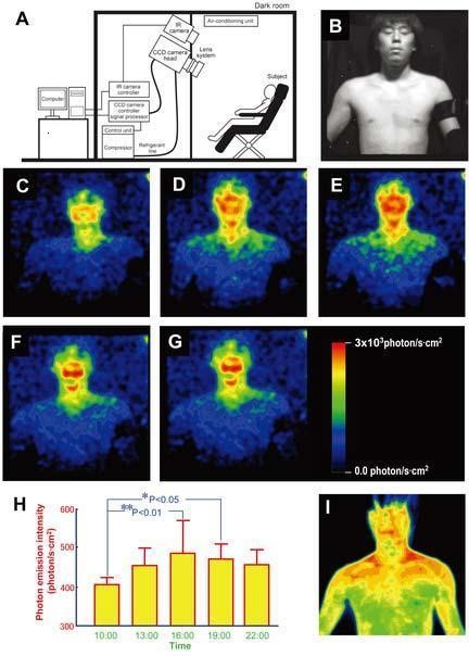 The human body emitting bio photon energy