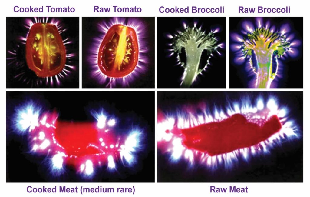 Raw food vs cooked foods