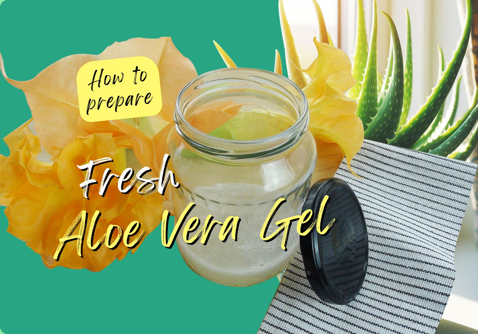 How to make fresh aloe vera gel at home